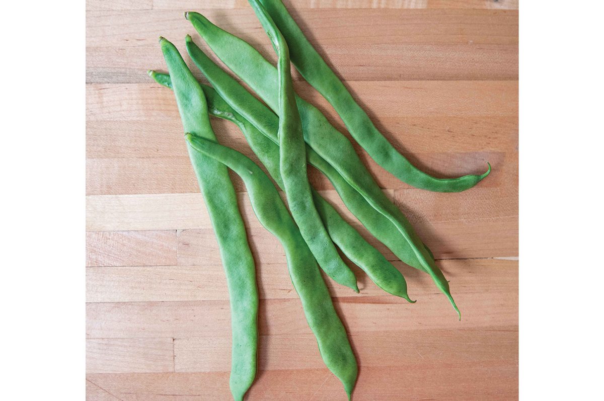 Helda – Organic Bean Seed